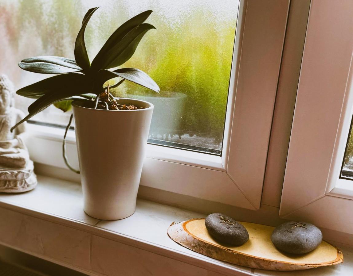 Modernes Appartement Im Gruenen - Stilvoll Und Komfortabel Cologne Extérieur photo